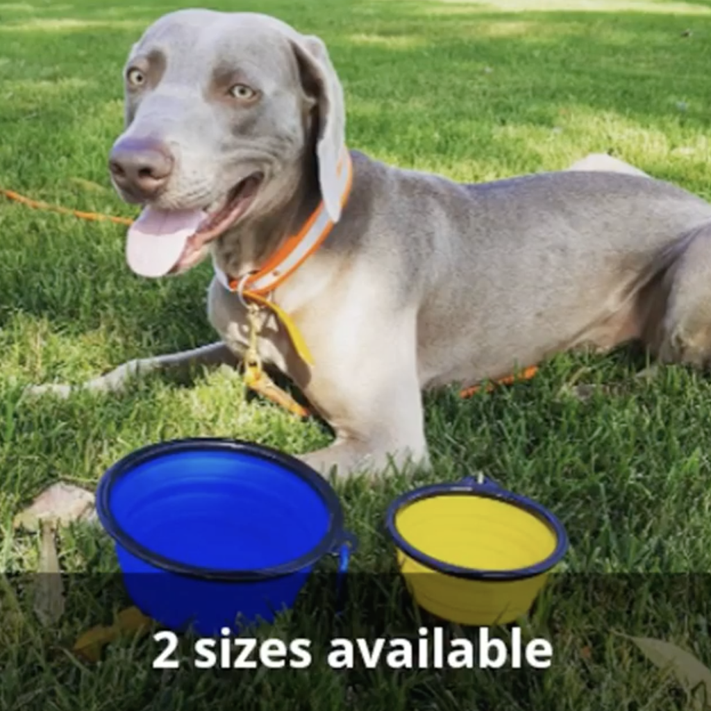 2 Pack XL 34oz Collapsible Travel Bowls for Larger Pets